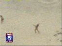 blacks beach bares nude volleyball on fox 5 news san diego, ca
http://www.blacksbeach.org