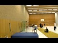 wallbackflip -- this is a 8.2feet (2.5m) high wallbackflip