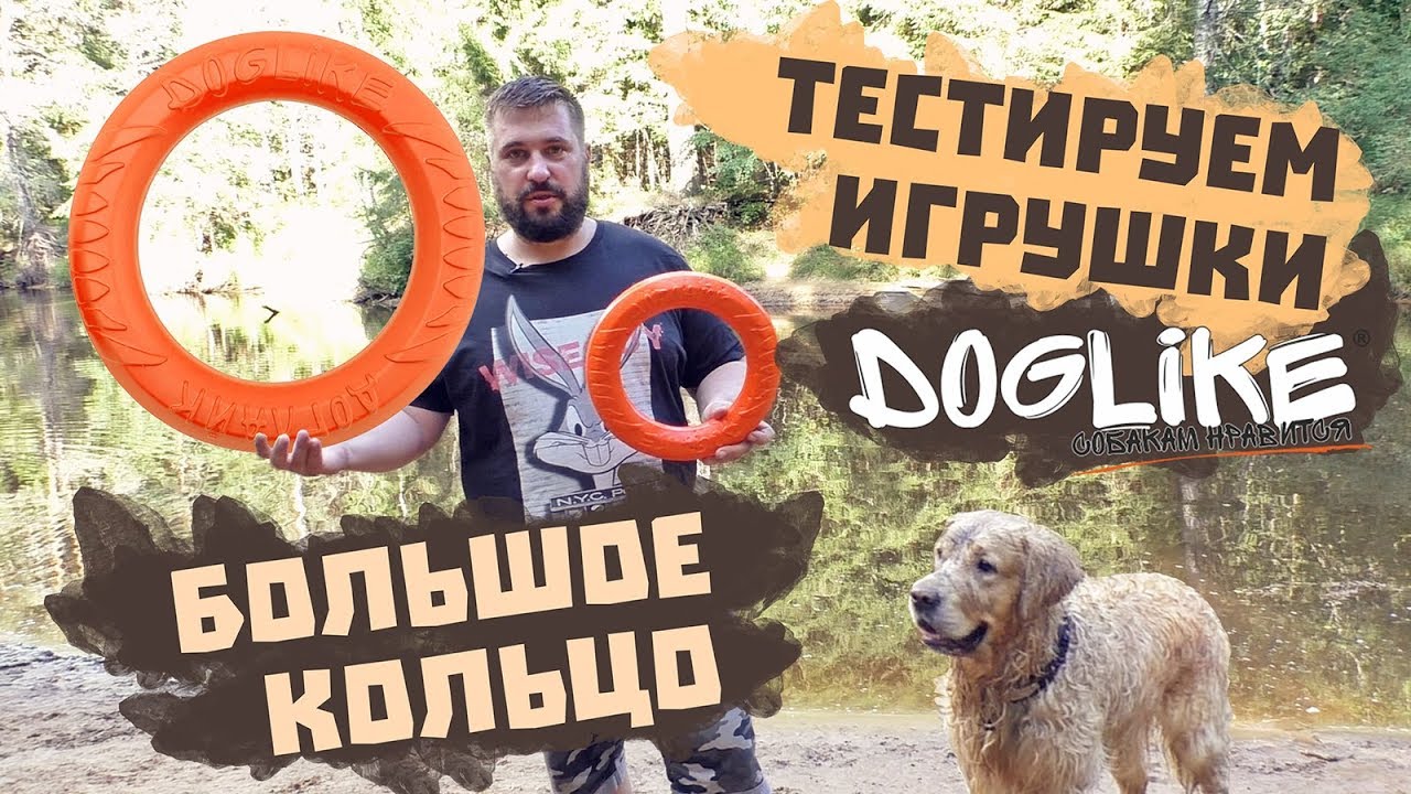 КОЛЬЦО ДОГЛАЙК (Doglike) ДЛЯ СОБАКИ | Тестируем игрушки для собак | Золотистый ретривер | Обзор