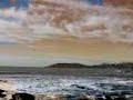 Shell Beach