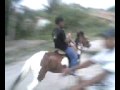 cavalo guiulherme.avi