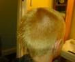 Having a Trim