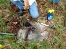 Hydric Soils Class Hydric Soils Class