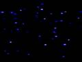videos de openspace.avi