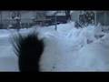The Perfect Storm...Lake Effect Snow in Duluth Minnesota