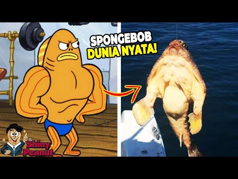 Download Video Aslinya Beneran Kekar?! Inilah Karakter Film SpongeBob di Dunia Nyata Download Video Aslinya Beneran Kekar?! Inilah Karakter Film SpongeBob di Dunia Nyata