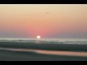 Kiawah Everything