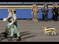 Pobres Maridos Infelices- LA LEGIÓN ESPAÑOLA Pobres Maridos Infelices- LA LEGIÓN ESPAÑOLA