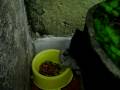 videos de Tchuka ensina: como manter a comida conservada - segunda parte.