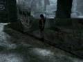 Tomb Raider Underworld Dead Spider Bounce