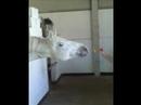 video_lucky