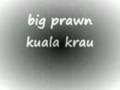 prawn!! sungai pahang