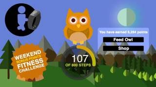 Owl Fitness