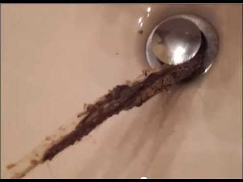 how to get hair out of a drain