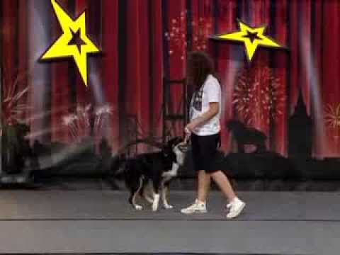Köpeği - Türkiye'nin gizli kalmış yeteneklerini gün yüzüne çıkartan Yetenek Sizsiniz Türkiye tüm hızıyla devam ediyor. Yetenek sizsiniz Türkiye adına aradığınız her ş...