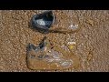 $30k AIR JORDAN 4 X EMINEM X CARHARTT sneakers dunked into melted m&m's Extreme Clean Crep Protect