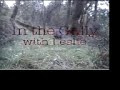 wombat Lady up the gully