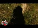 La copla de tu vida: A TU VERA