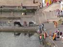 Pushkar (Rajasthan)