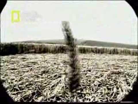 NatGeo - El Fraude de los Circulos de Maiz 2/5