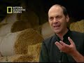 El fraude de los Circulos de Maiz 2/5
