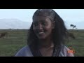 TIGRIGNA ETHIOPIA