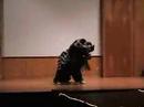 Stony Brook China Night Lion Dance (pt 3)