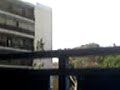 Elettricista ubriaco.MP4