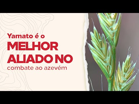 Conheça o Herbicida para Floresta Yamato SC da IHARA!