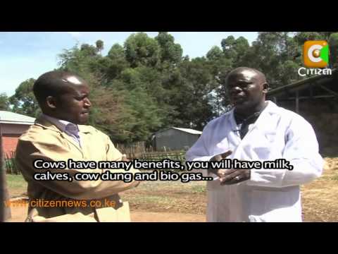 Movers And Shakers -- Willy Kirwa