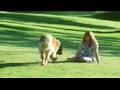  - MovieZen Video
