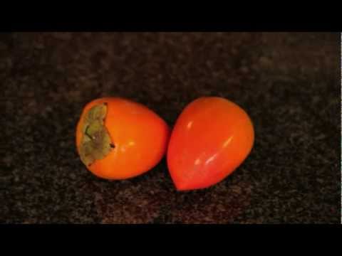 how to harvest persimmons