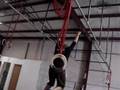 CrossFit East Bay Adult Monkey Bars