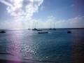 Basil`s Bar @ Mustique