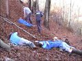 The scene in Haloze forest