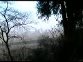 AVELEDA FARM - Quinta - (PENAFIEL) - Portugal