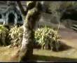 AVELEDA FARM - Quinta - (PENAFIEL) - Portugal