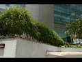 SJR Builders the realty wing of SJR Group presents its top commercial property SJR iPark. SJR Builder's iPark is a tech park dedicated to the most advanced technology ever made: the human being. Located in the EPIP zone, Whitefield, Bangalore, SJR iPark is a next generation tech park built around people. Bordered by roads on three sides, the property covers 8.18 acres (about 368082 sq. ft.) and the structure comprises of three imposing, distinct towers of 1 million sq. ft. SJR iPark offers state-of-the-art facilities, maintenance, and all the other benefits that drive productivity & profitability. Official Website: www.sjrgroup.com
