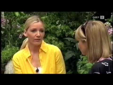 Heilkraut Mariendistel