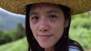 Video-Taiwan, l'isola che mangia di notte