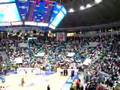 16/03/2008 - Fortitudo-pesaro - Coreografia Fossa dei Leoni
