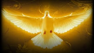 The Matters of The Heart