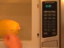 Spaghetti Squash:101