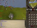 zezima castle wars massacre