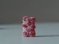 the natural confectionery company   raphael the scary bear