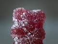 The Natural Confectionery Company - Raphael The Scary Bear The Natural Confectionery Company - Raphael The Scary Bear