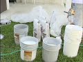 Decorative Concrete TextureDeck Training Video