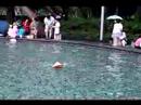RC boat - Phoenix