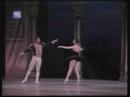 aurora bosch: cisne negro