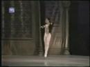 aurora bosch: cisne negro